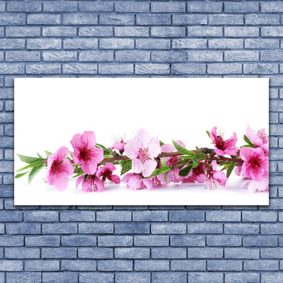 Quadro canvas Flores Planta Natureza