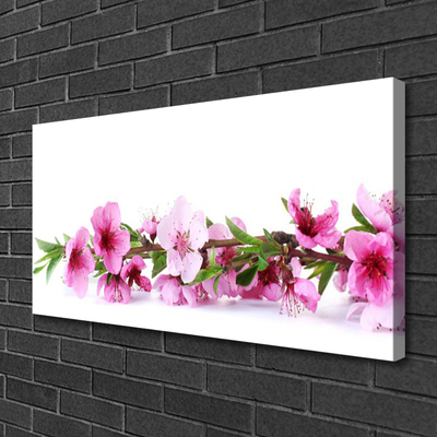 Quadro canvas Flores Planta Natureza