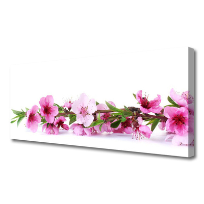 Quadro canvas Flores Planta Natureza