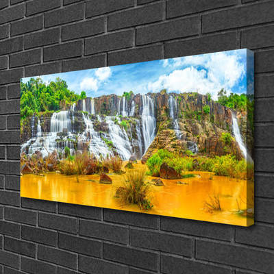 Quadro canvas Cachoeira Árvores Natureza