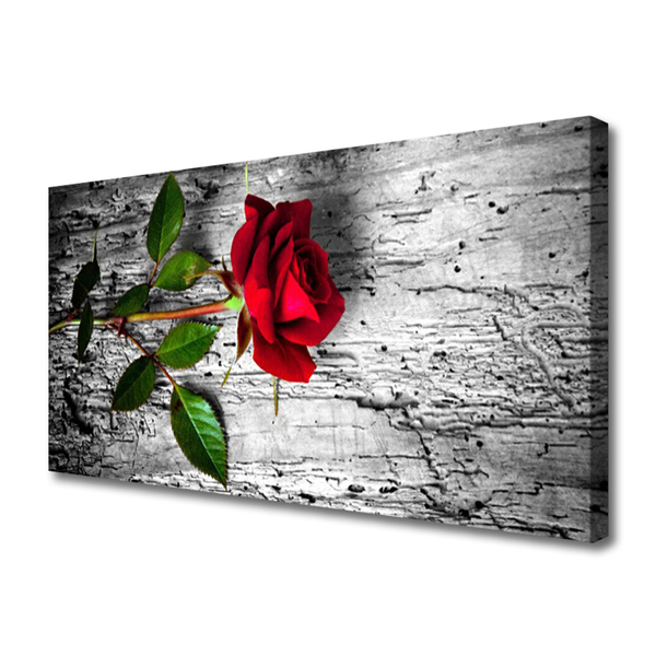 Quadro canvas Rosa Flor Planta Natureza