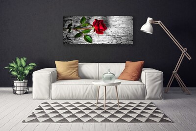 Quadro canvas Rosa Flor Planta Natureza