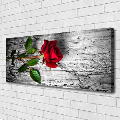 Quadro canvas Rosa Flor Planta Natureza