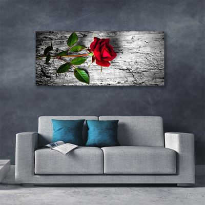 Quadro canvas Rosa Flor Planta Natureza