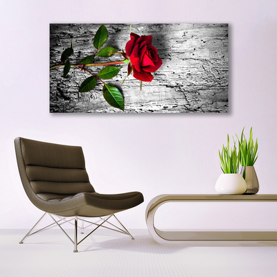 Quadro canvas Rosa Flor Planta Natureza