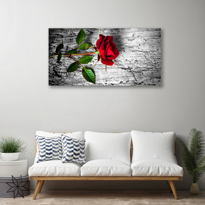 Quadro canvas Rosa Flor Planta Natureza