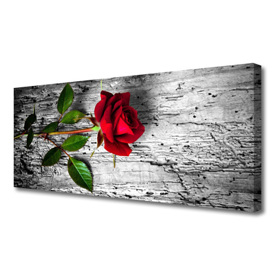 Quadro canvas Rosa Flor Planta Natureza