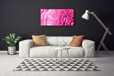 Quadro em tela Flores Planta Natureza