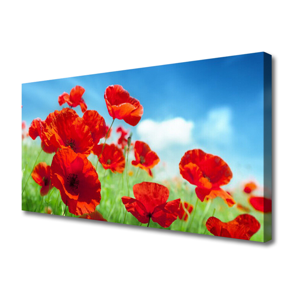 Quadro canvas Papoulas Plantam Natureza