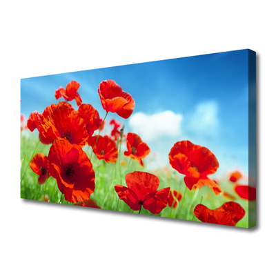 Quadro canvas Papoulas Plantam Natureza