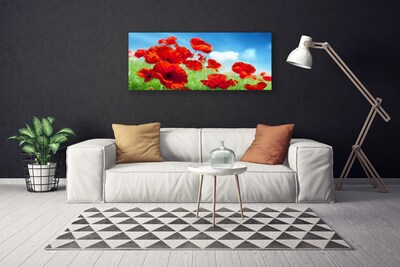 Quadro canvas Papoulas Plantam Natureza