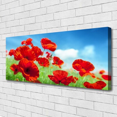 Quadro canvas Papoulas Plantam Natureza