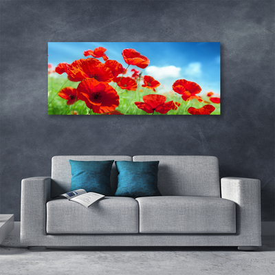 Quadro canvas Papoulas Plantam Natureza