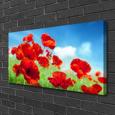 Quadro canvas Papoulas Plantam Natureza