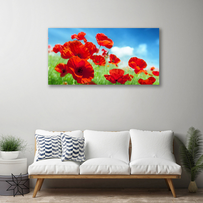 Quadro canvas Papoulas Plantam Natureza