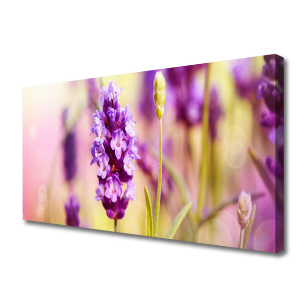 Quadro canvas Flores Planta Natureza