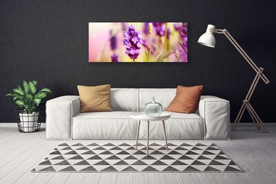 Quadro canvas Flores Planta Natureza
