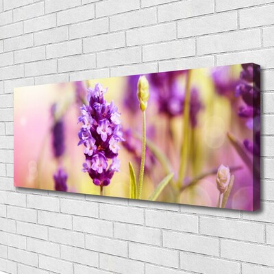 Quadro canvas Flores Planta Natureza