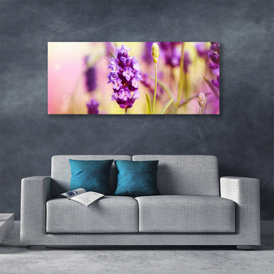 Quadro canvas Flores Planta Natureza