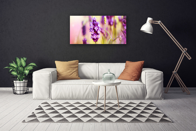 Quadro canvas Flores Planta Natureza