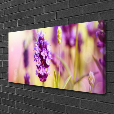 Quadro canvas Flores Planta Natureza