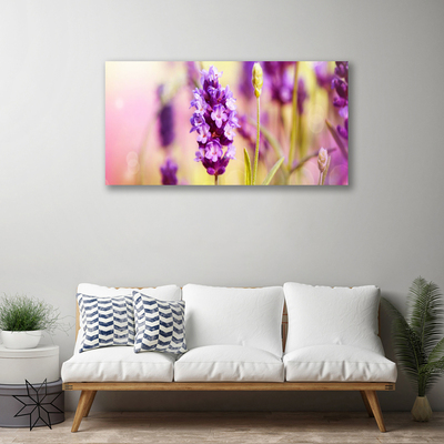 Quadro canvas Flores Planta Natureza
