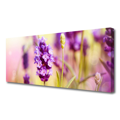 Quadro canvas Flores Planta Natureza