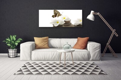Quadro em tela Planta de Pedras de Flor de Borboleta
