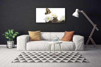 Quadro em tela Planta de Pedras de Flor de Borboleta