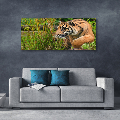 Quadro canvas Animais Tigres