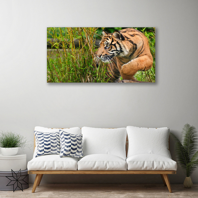 Quadro canvas Animais Tigres