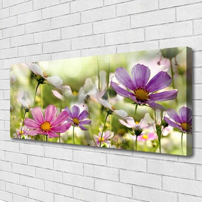 Quadro em tela Flores Planta Natureza