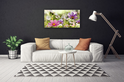 Quadro em tela Flores Planta Natureza