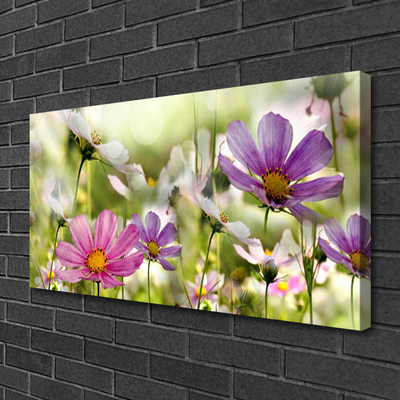 Quadro em tela Flores Planta Natureza