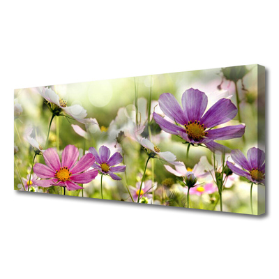 Quadro em tela Flores Planta Natureza