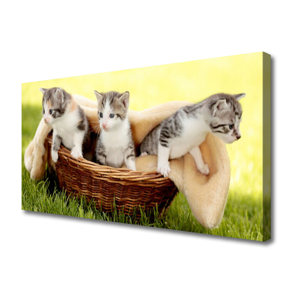 Quadro canvas Gatos Animais