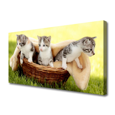 Quadro canvas Gatos Animais