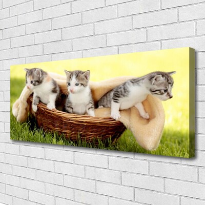 Quadro canvas Gatos Animais