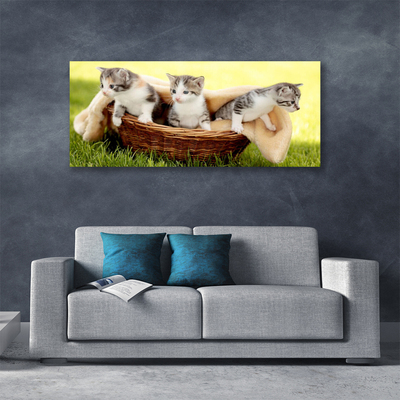 Quadro canvas Gatos Animais