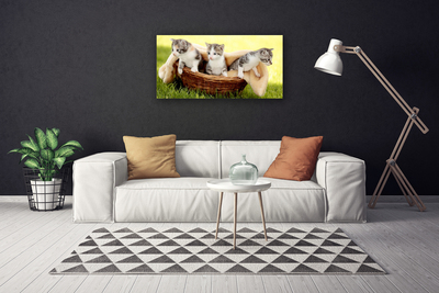Quadro canvas Gatos Animais