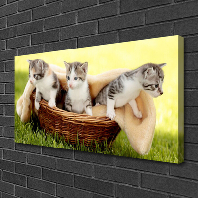 Quadro canvas Gatos Animais