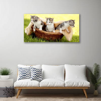 Quadro canvas Gatos Animais