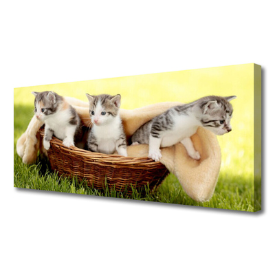 Quadro canvas Gatos Animais