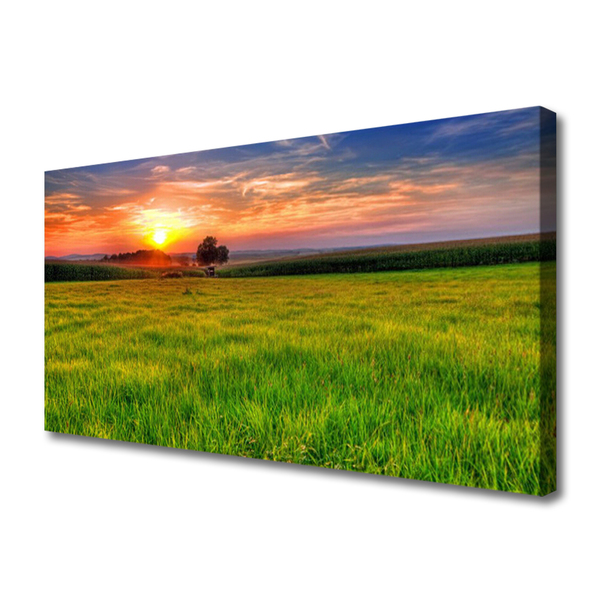 Quadro em tela Prado Sol Natureza