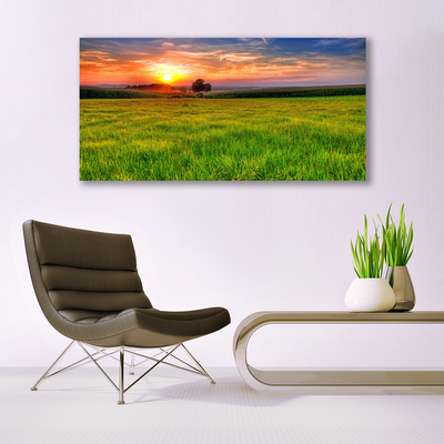 Quadro em tela Prado Sol Natureza
