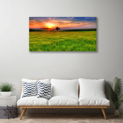 Quadro em tela Prado Sol Natureza