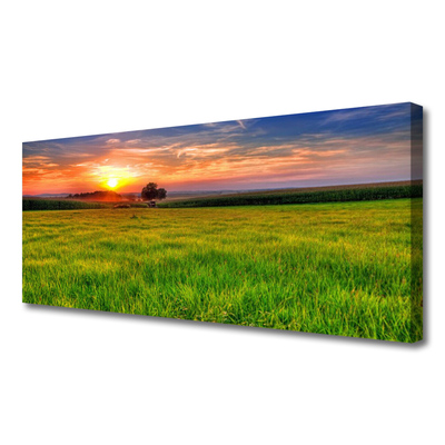 Quadro em tela Prado Sol Natureza