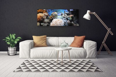 Quadro canvas Natureza dos recifes de corais