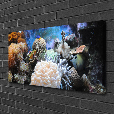 Quadro canvas Natureza dos recifes de corais