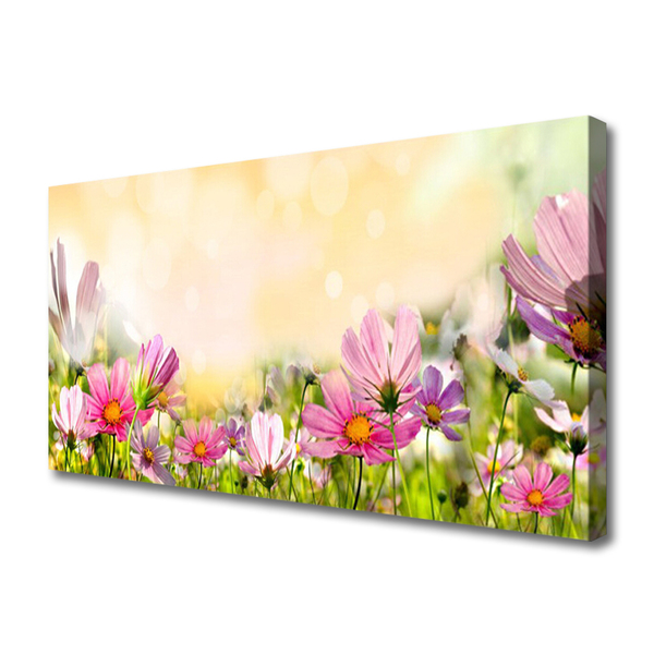 Quadro em tela Flores Planta Natureza